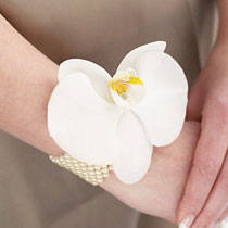 Orchid Corsage