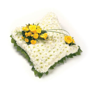 Based Cushion Yellow & White