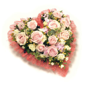 Loose Heart Pink & Peach