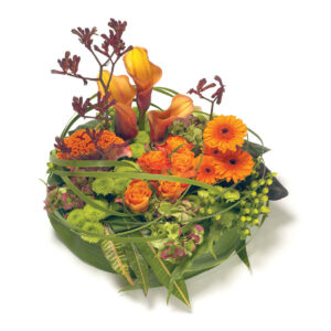 Contemporary  Orange Posy