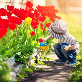Spring Flowers At Balla Florist