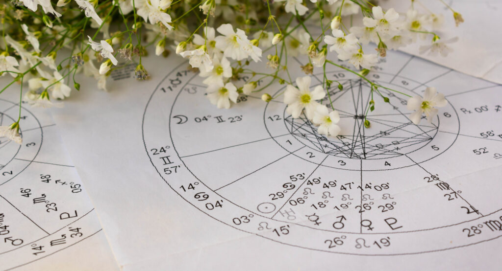 Flowers For Every Zodiac Sign at Balla Florist
