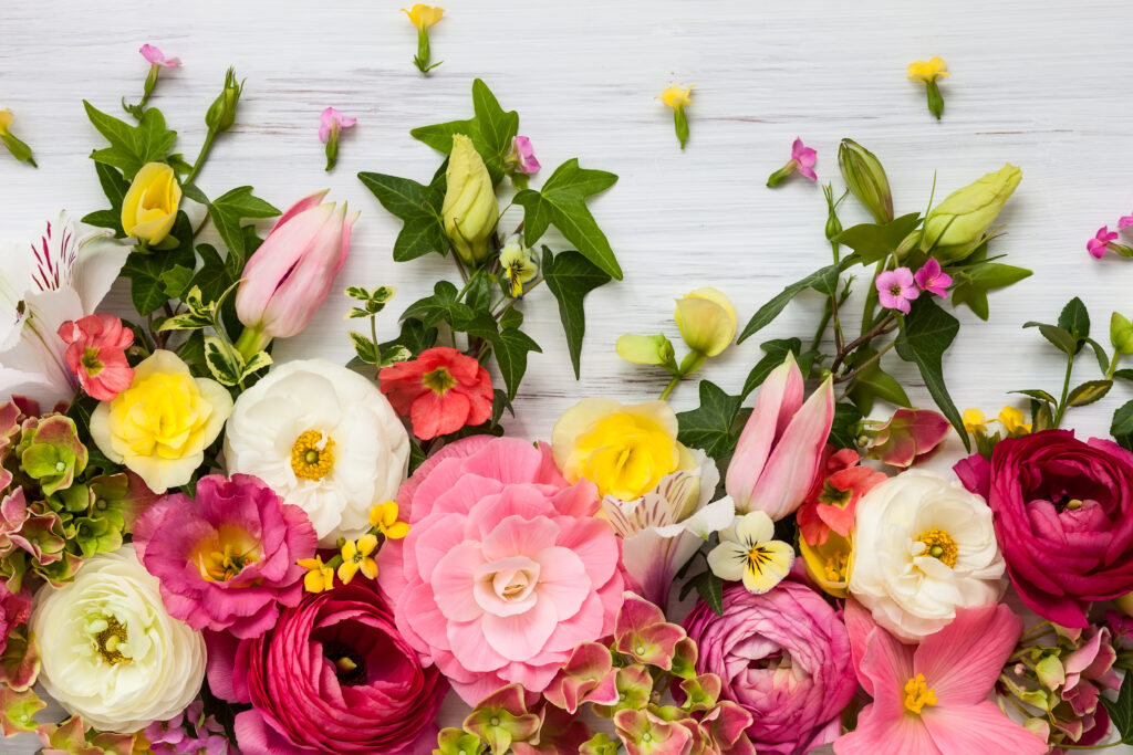Fresh Flower Care