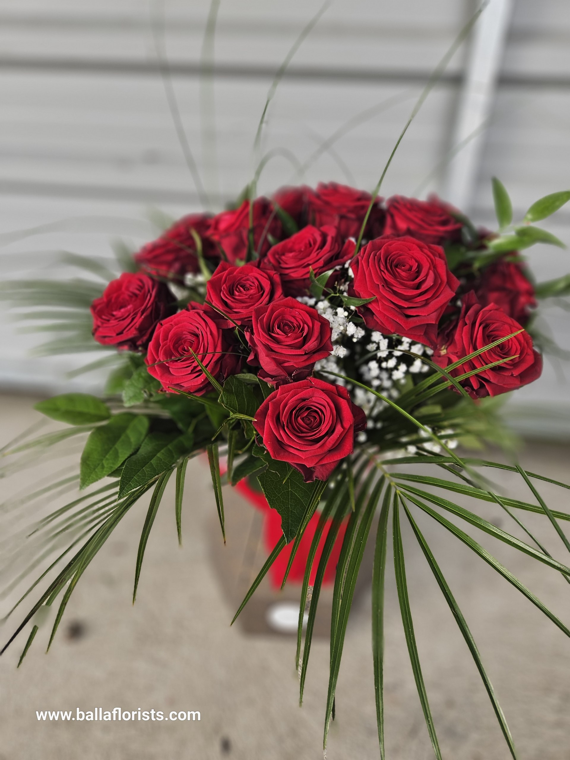12 Red Roses