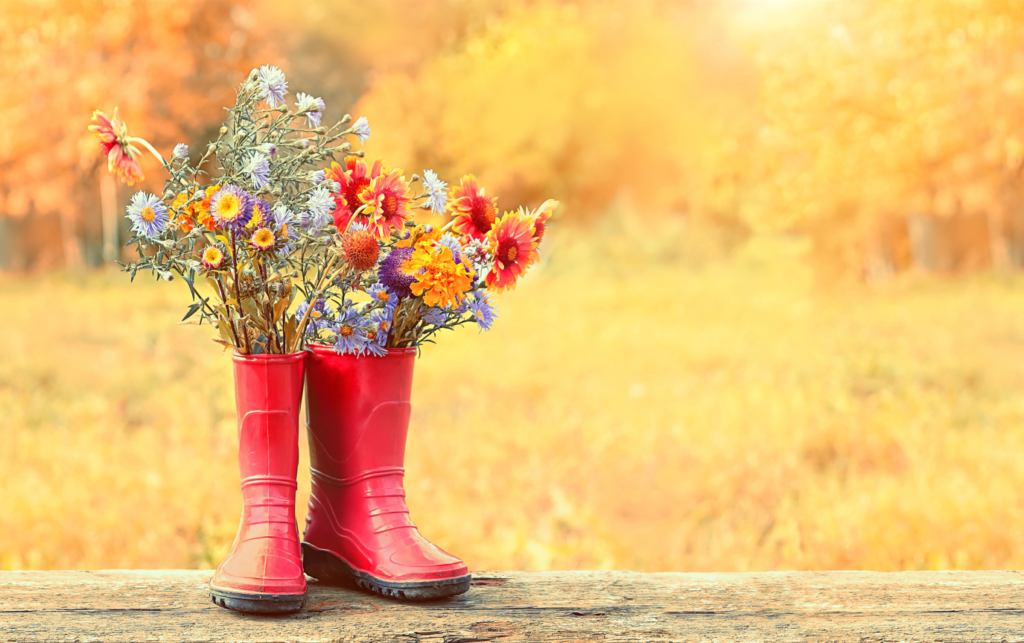 Embrace the Beauty of Autumn