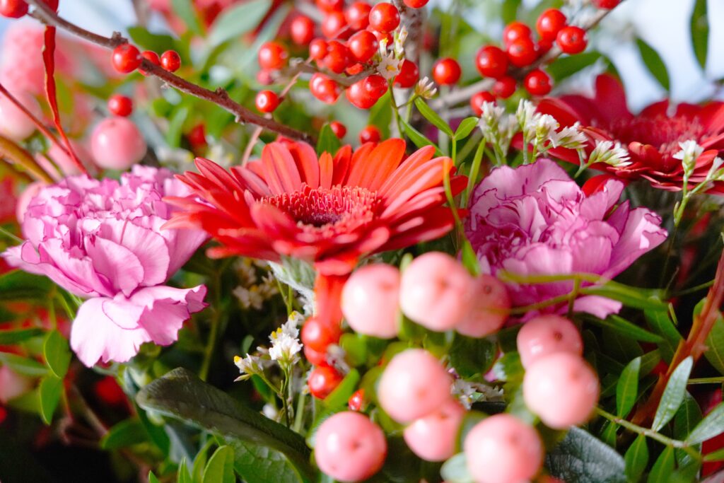 Christmas Flowers