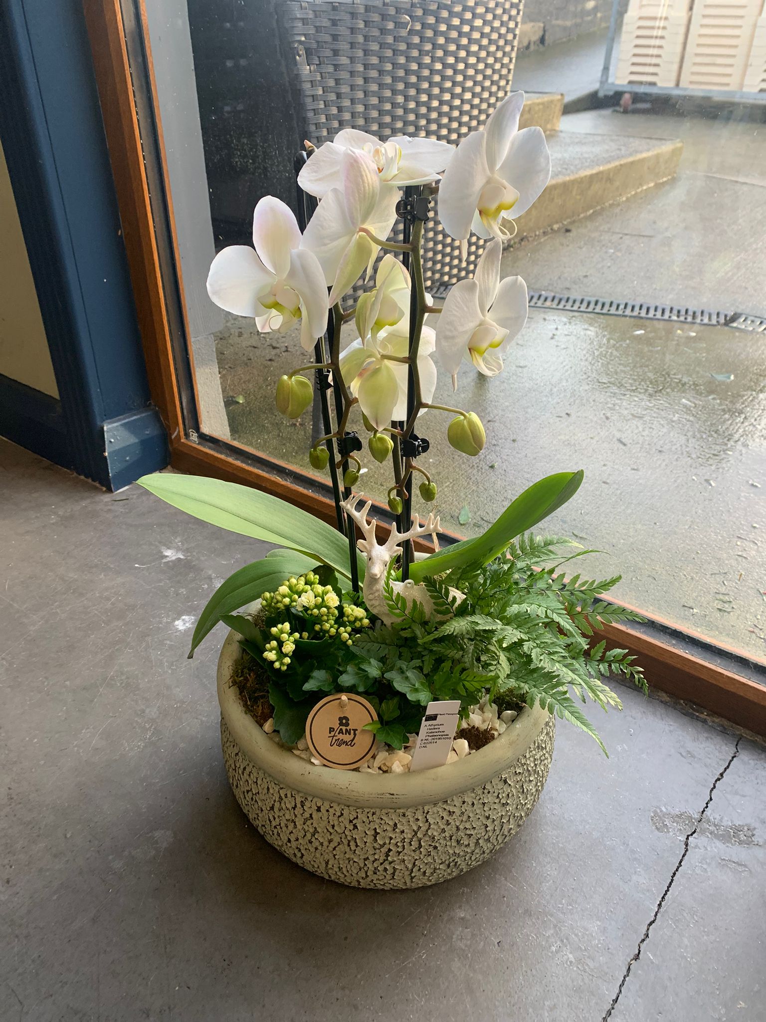Orchid Planter - White