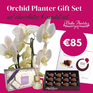 Orchid Planter Gift Set poster €85