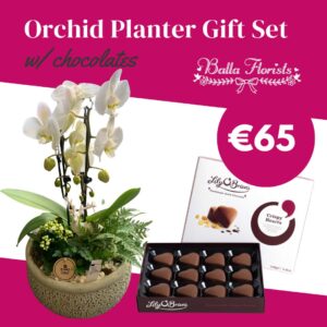 Orchid Planter Gift Set with chocolates poster €65