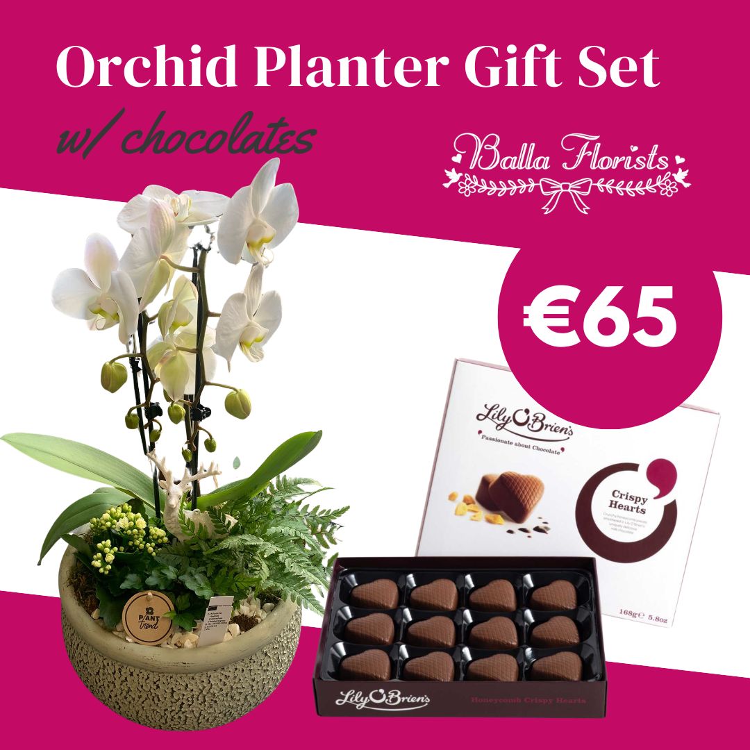 Orchid Planter Gift Set – Chocolates